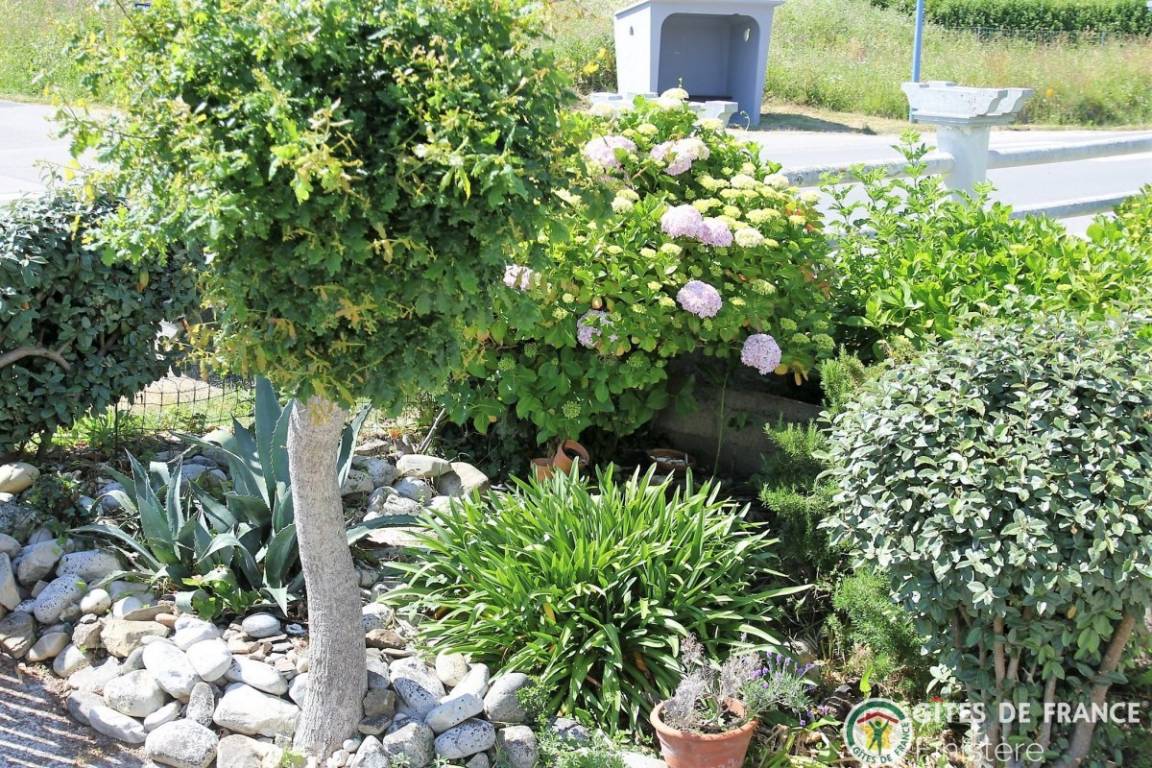 foto20