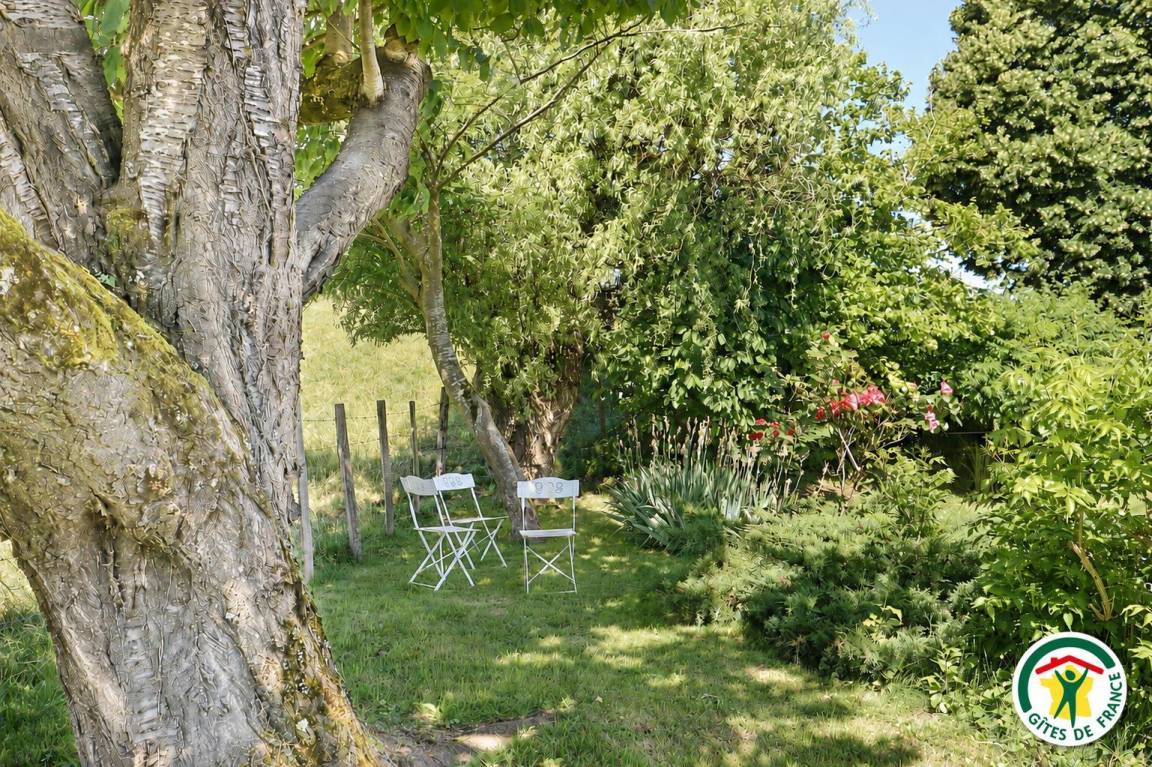 foto20