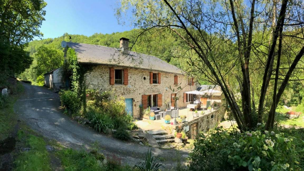 foto24