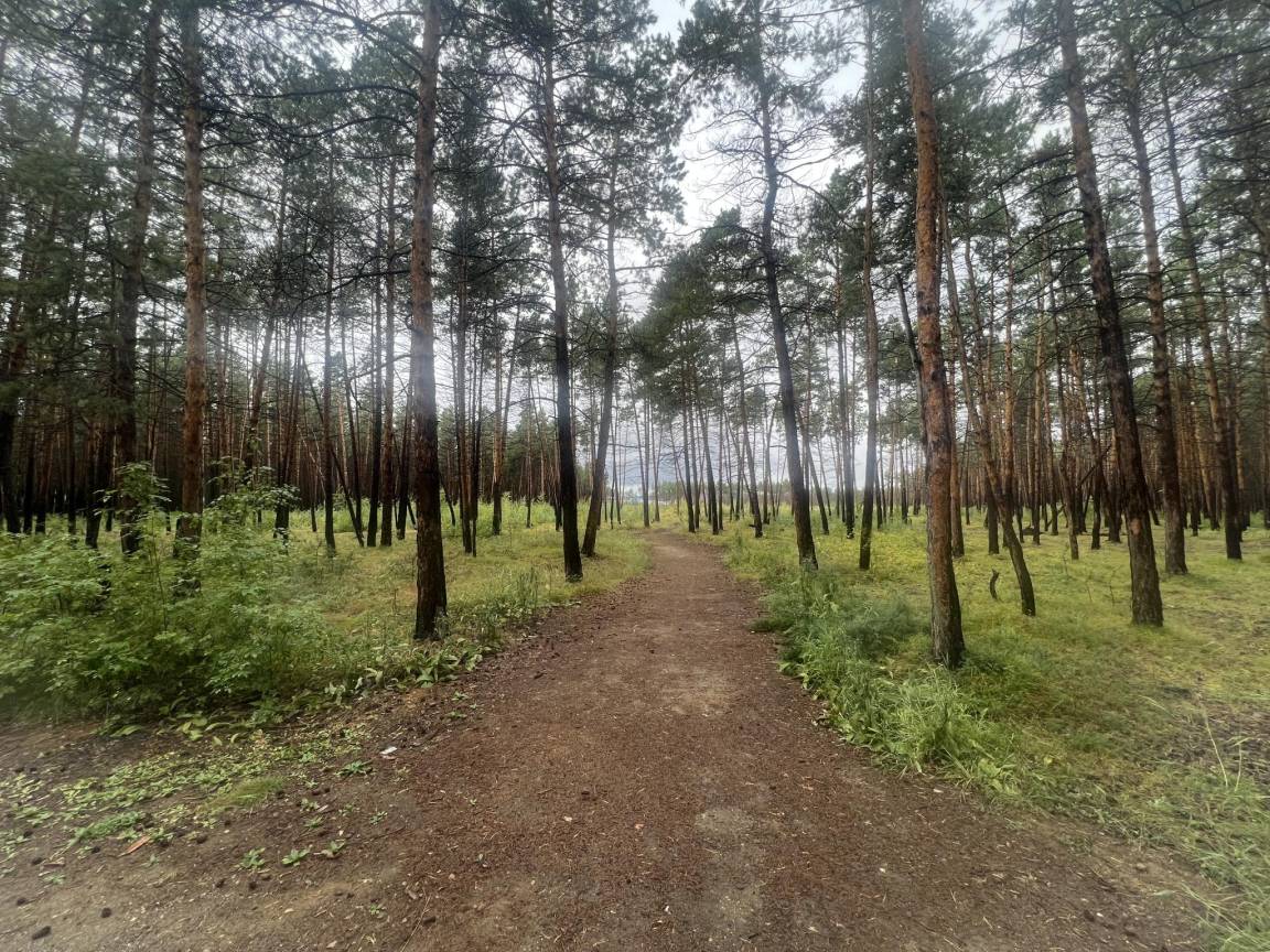 foto10