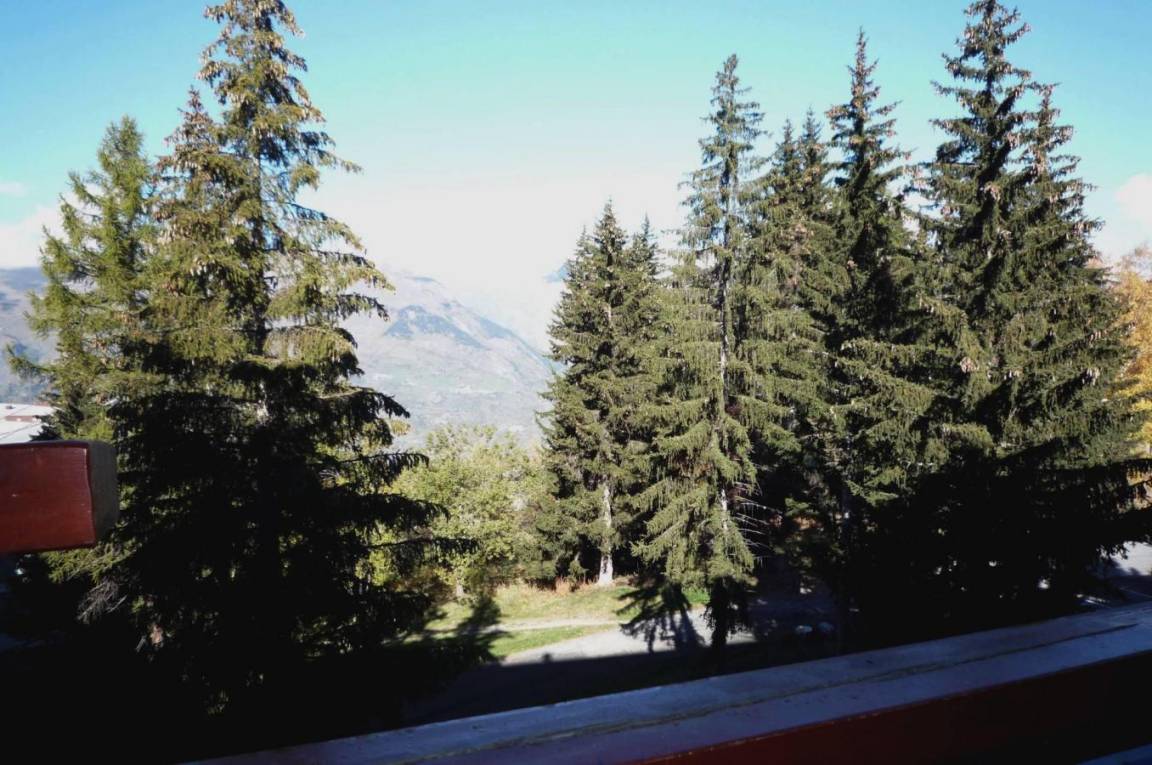 foto20