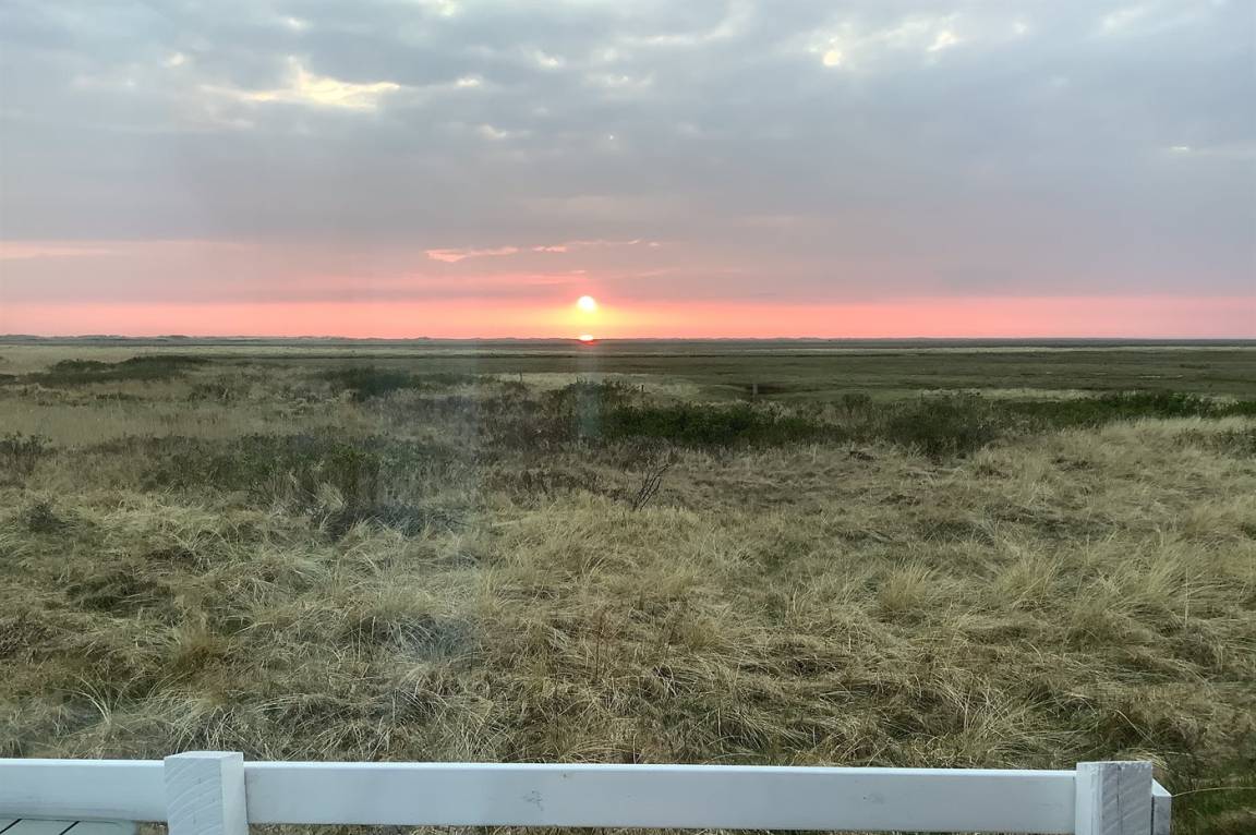 foto21