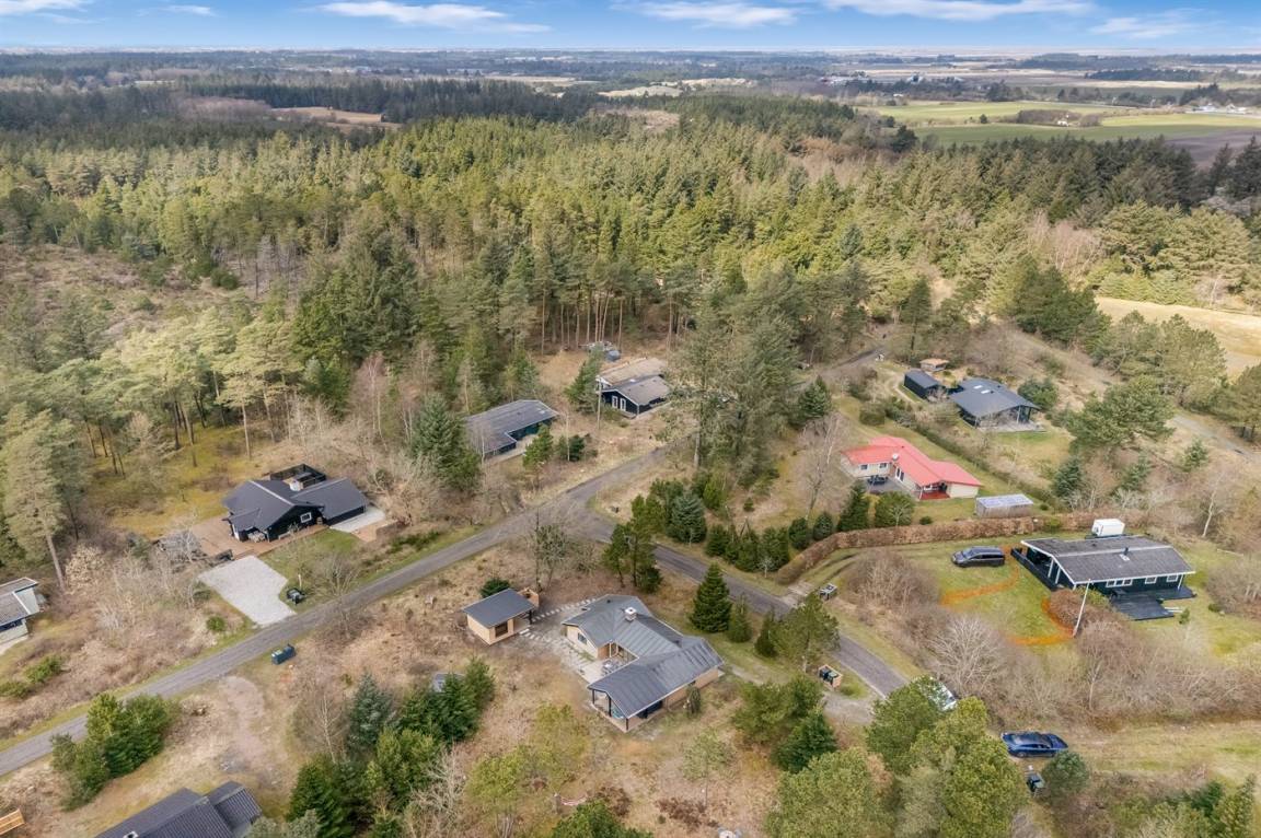 foto44
