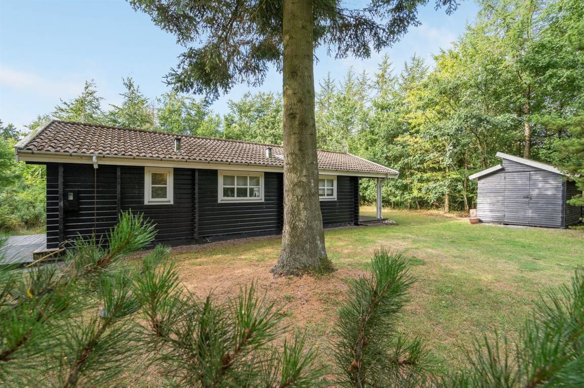 foto15