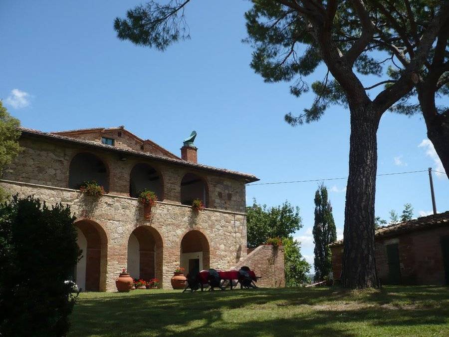250 M² Habitación Privada ∙ 1 Habitación ∙ 10 Huéspedes - San Casciano dei Bagni