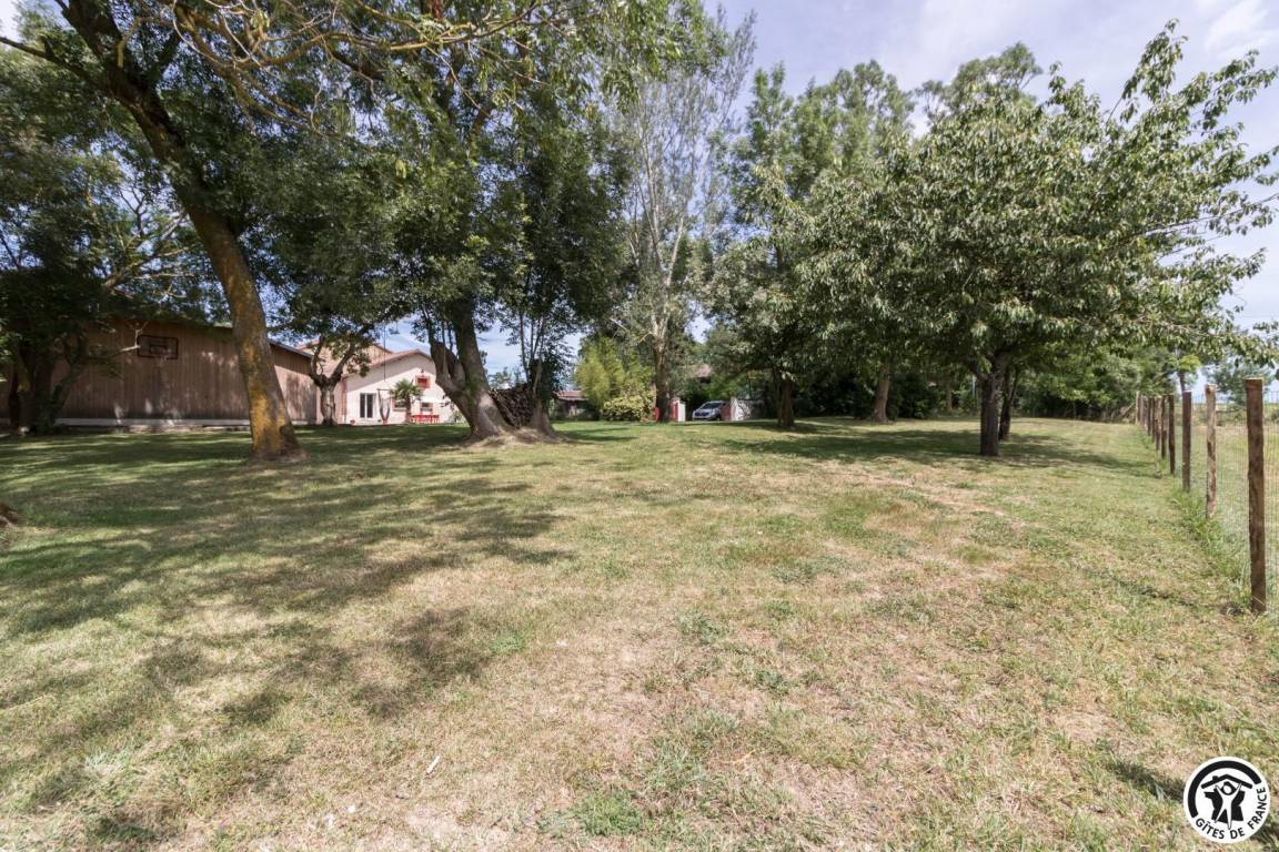 foto42