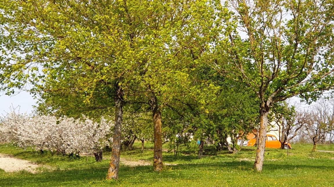 foto15
