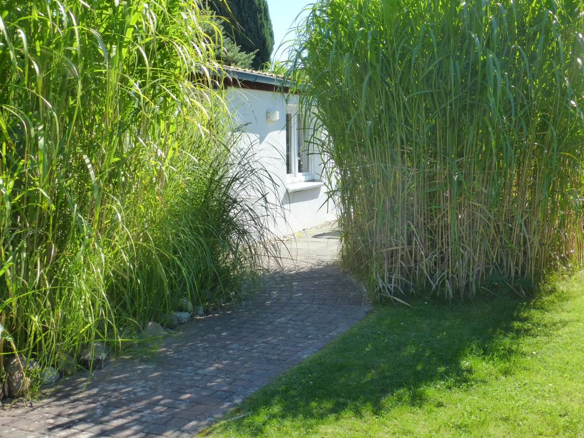 75 m² Ferienhaus ∙ 2 Schlafzimmer ∙ 4 Gäste – Bild 3