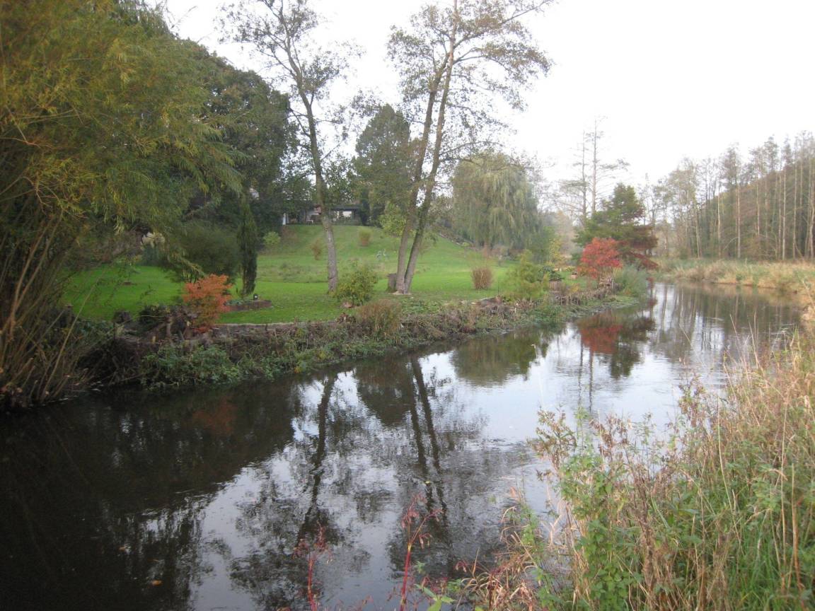 foto17