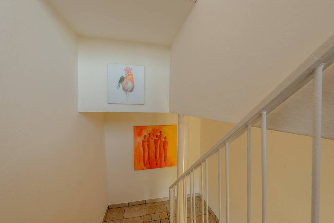 foto17
