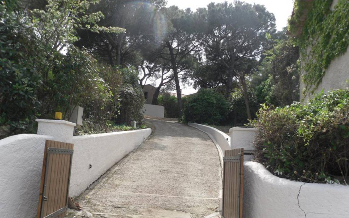 foto11