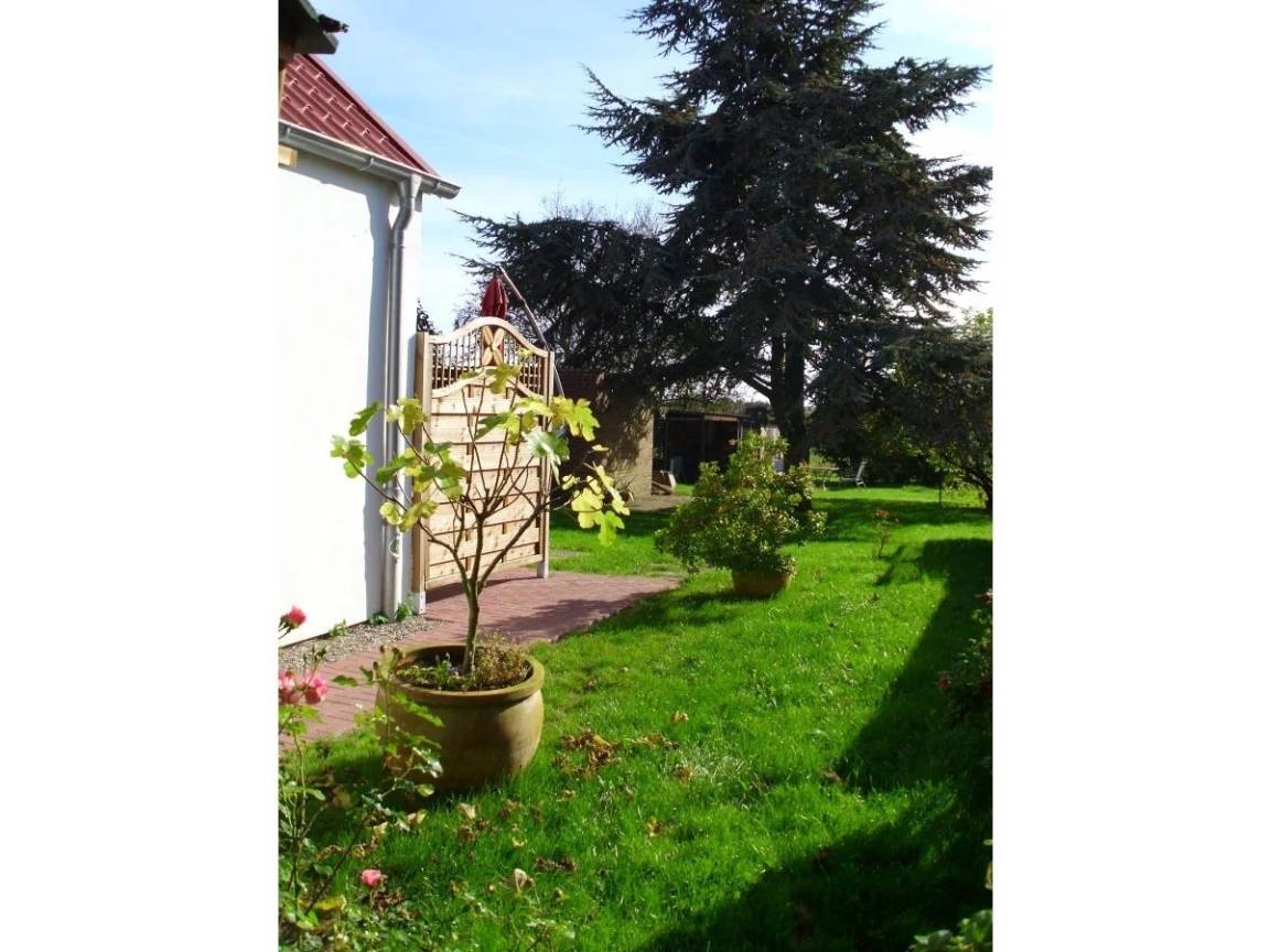 foto20
