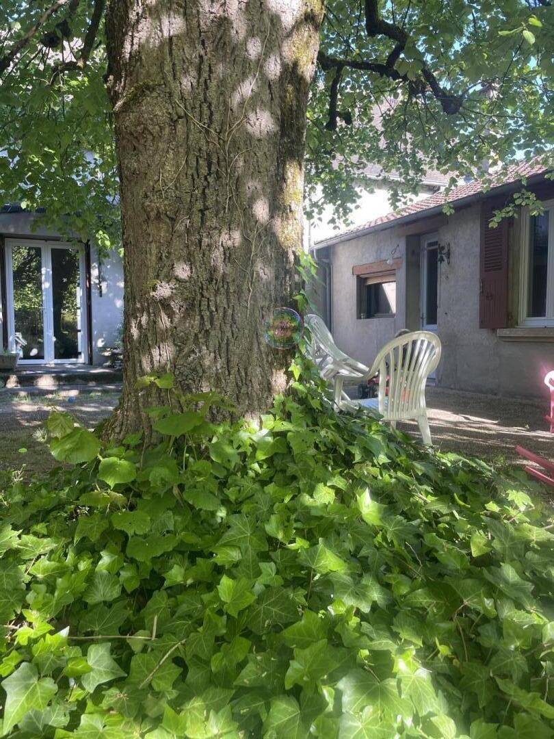 foto29