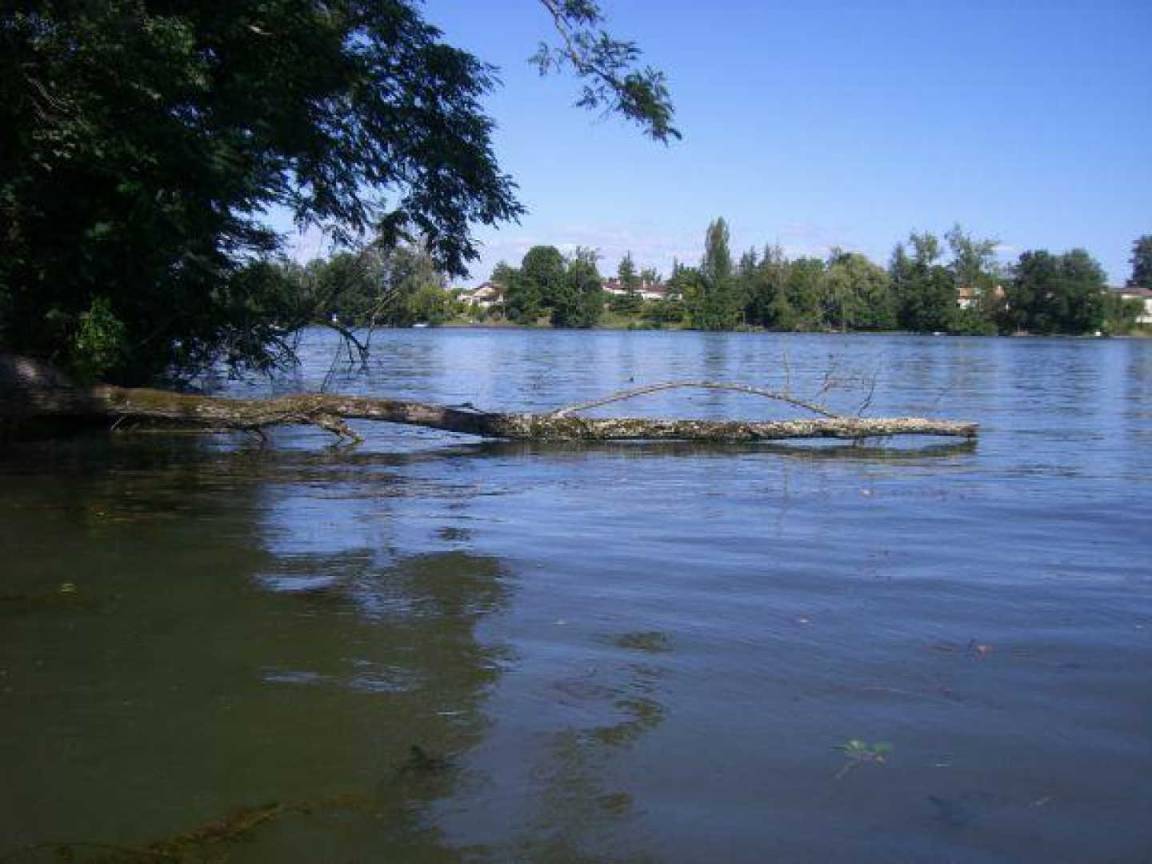 foto13