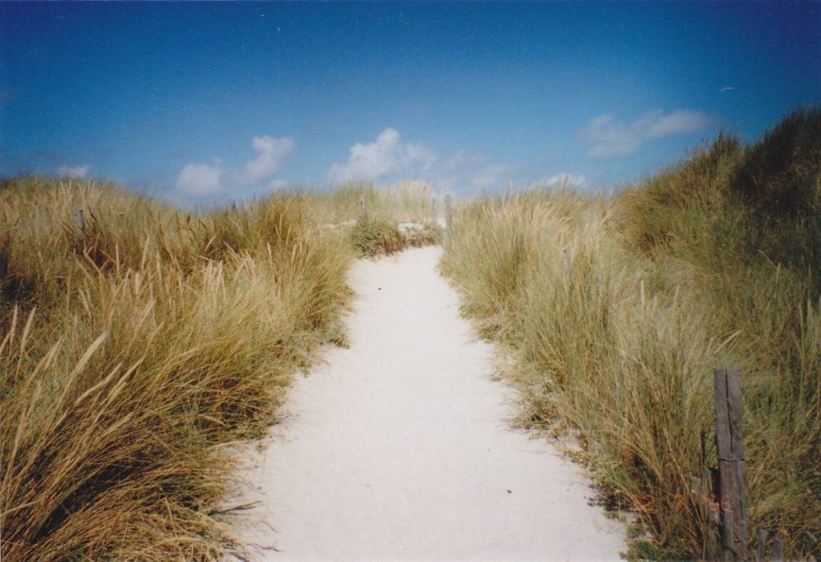 foto19