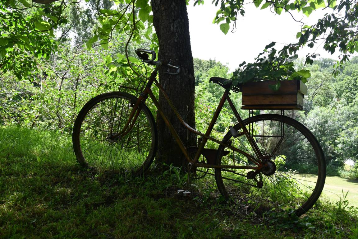 foto24