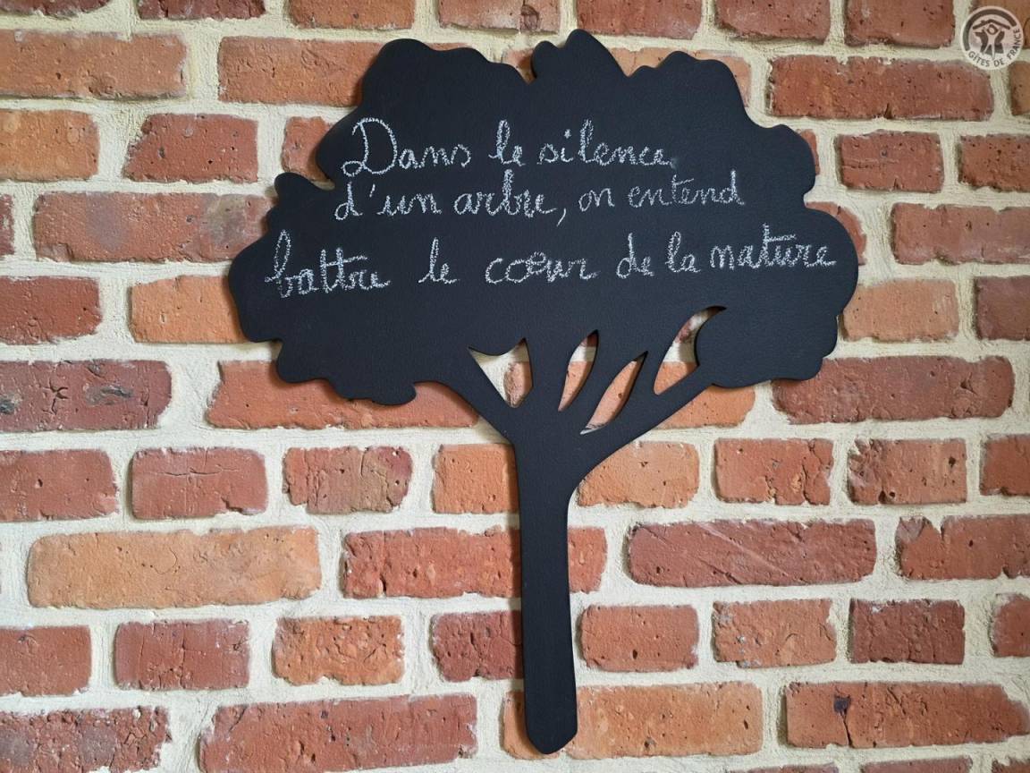 foto49