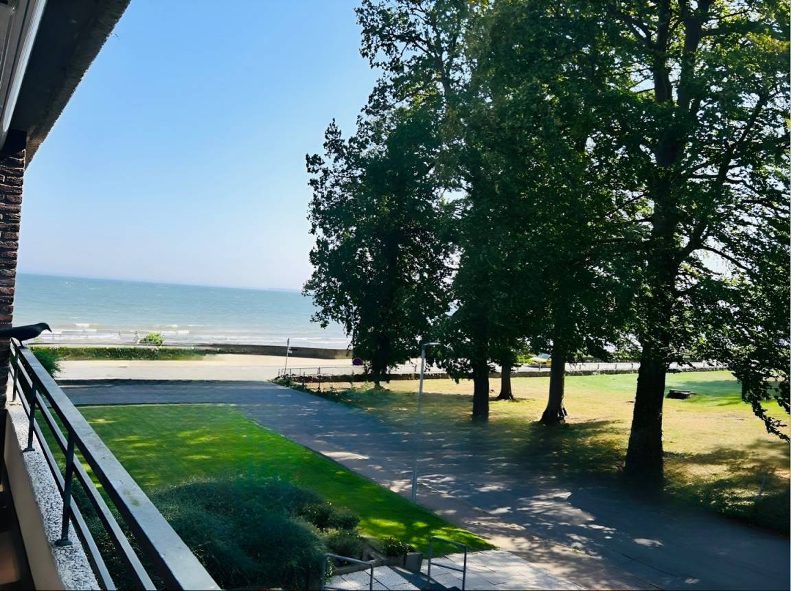 foto17