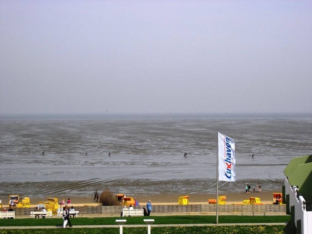 foto11