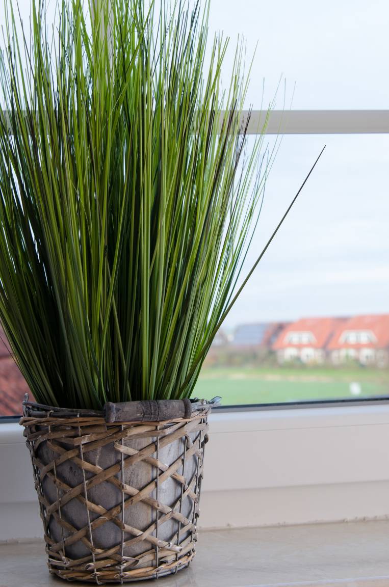 60 m² Ferienwohnung ∙ 1 Schlafzimmer ∙ 2 Gäste – Bild 10