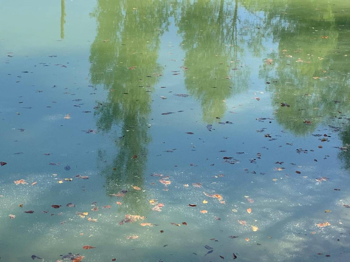 foto16