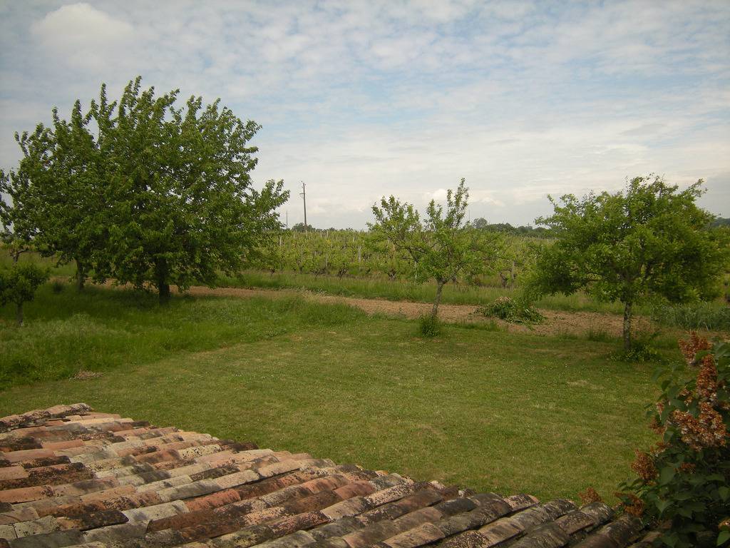 foto10