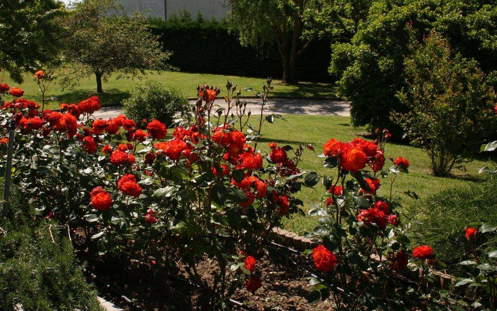 foto40