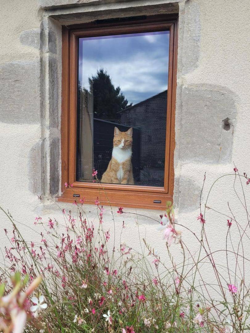 foto29