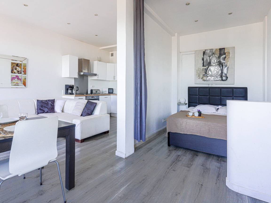 40 M² Appartement ∙ 1 Chambre ∙ 2 Personnes - Parc Phœnix - Nice