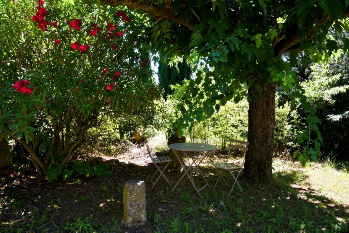 foto21