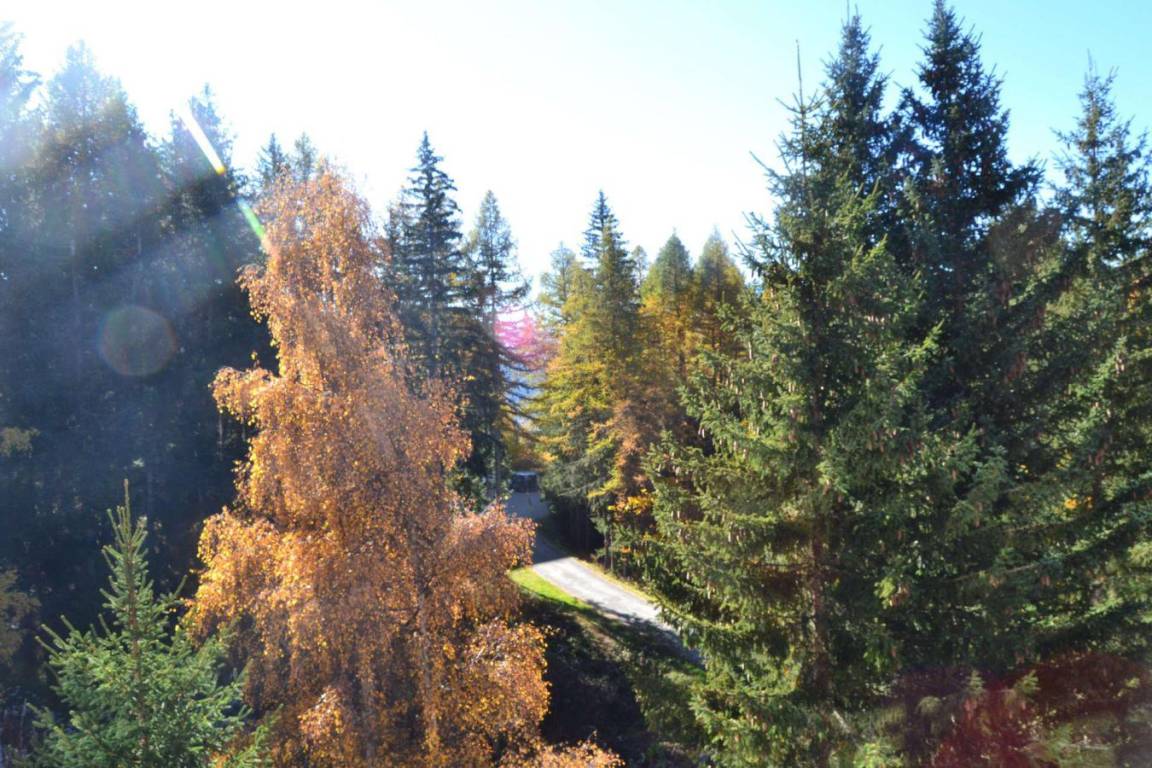 foto21