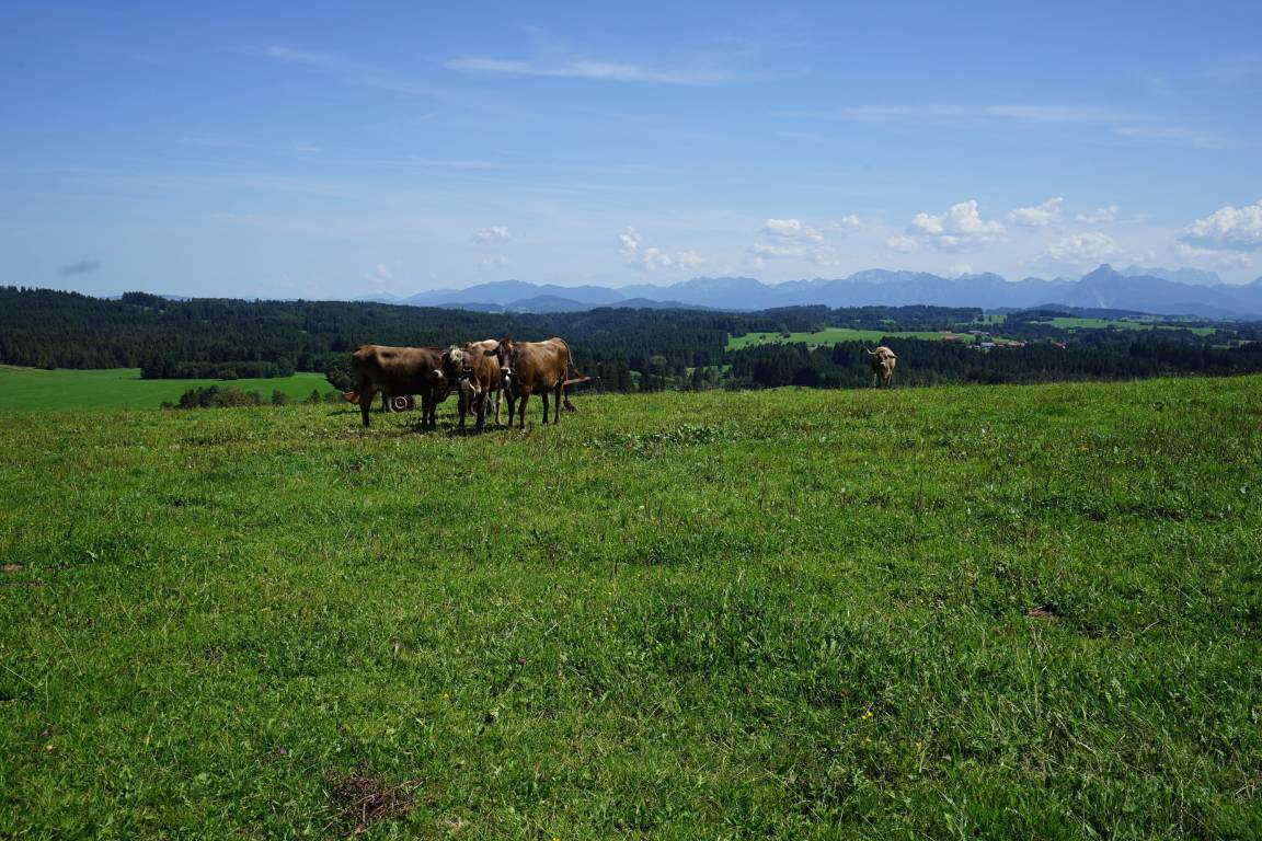 foto15