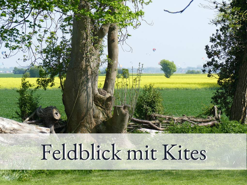 64 m² Ferienwohnung ∙ 2 Schlafzimmer ∙ 4 Gäste – Bild 10