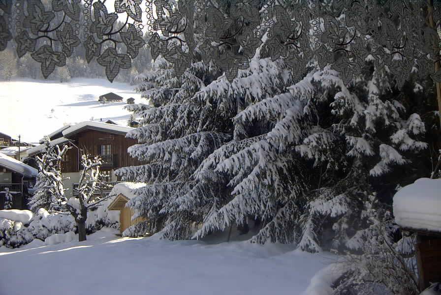 foto6
