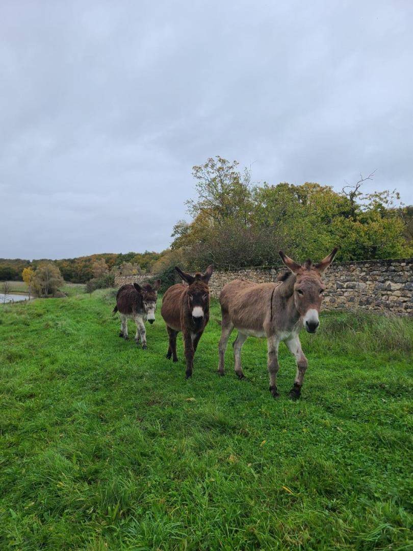 foto18