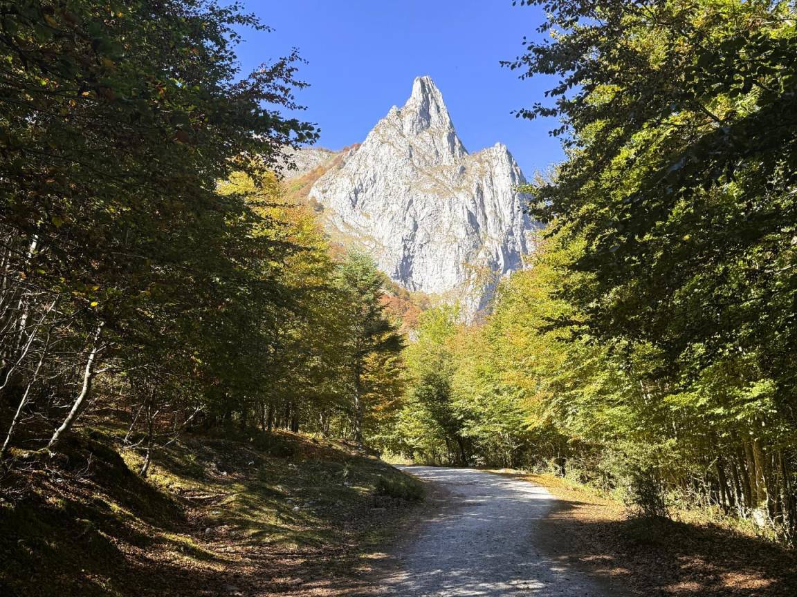 foto47