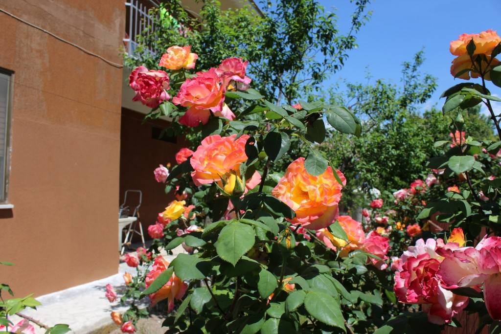 90 M² Maison De Vacances ∙ 3 Chambres ∙ 7 Personnes - Campo Felice