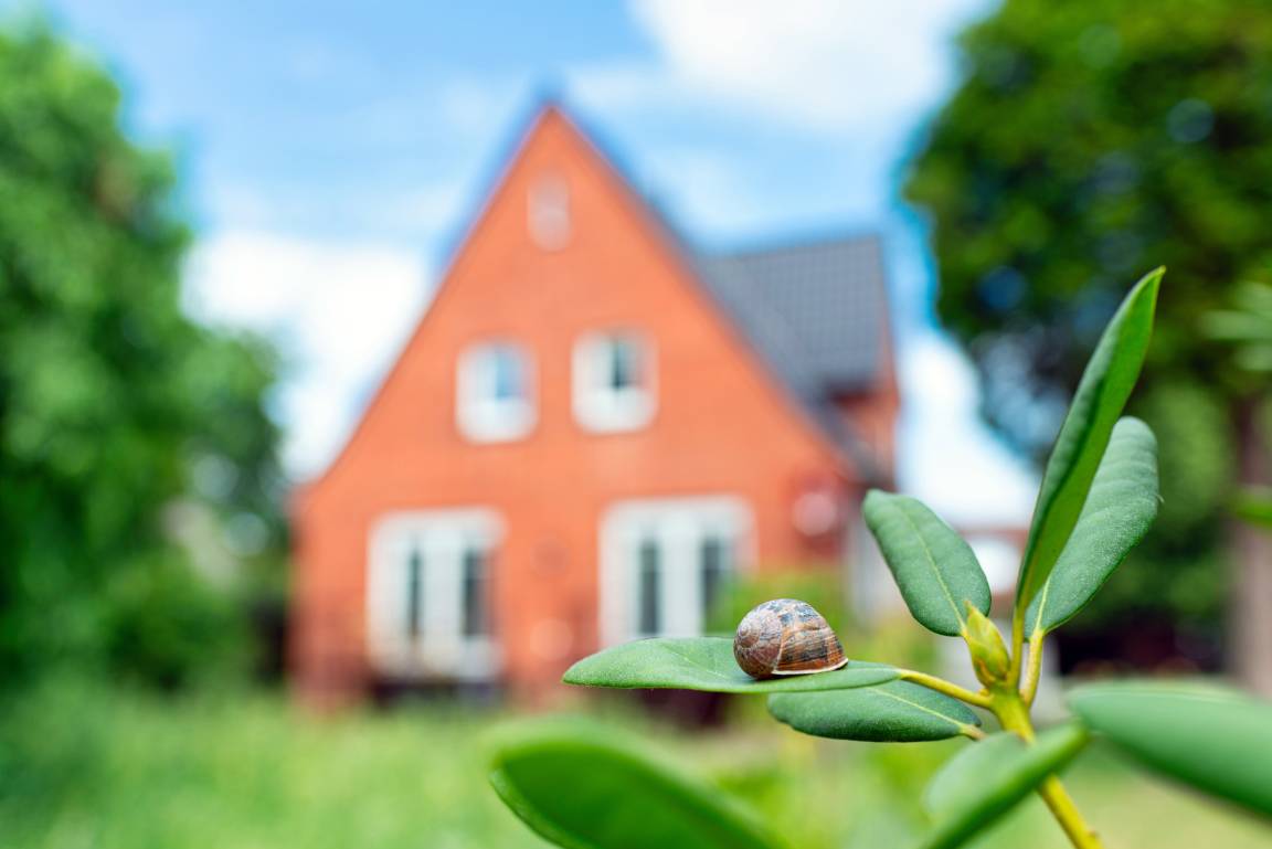 50 m&sup2; Ferienwohnung 2 Schlafzimmer 4 G&auml;ste