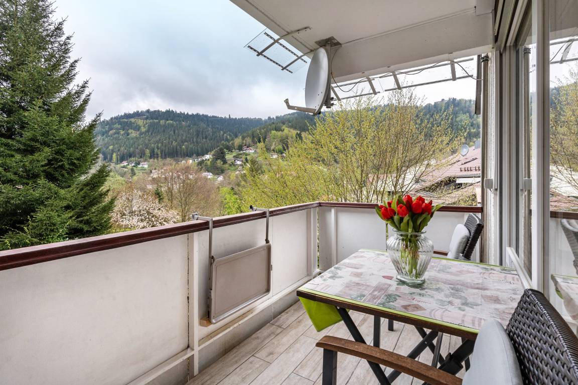 36 M² Studio Flat ∙ 2 Guests - Bad Wildbad