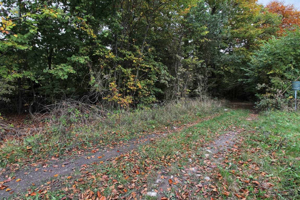 foto19