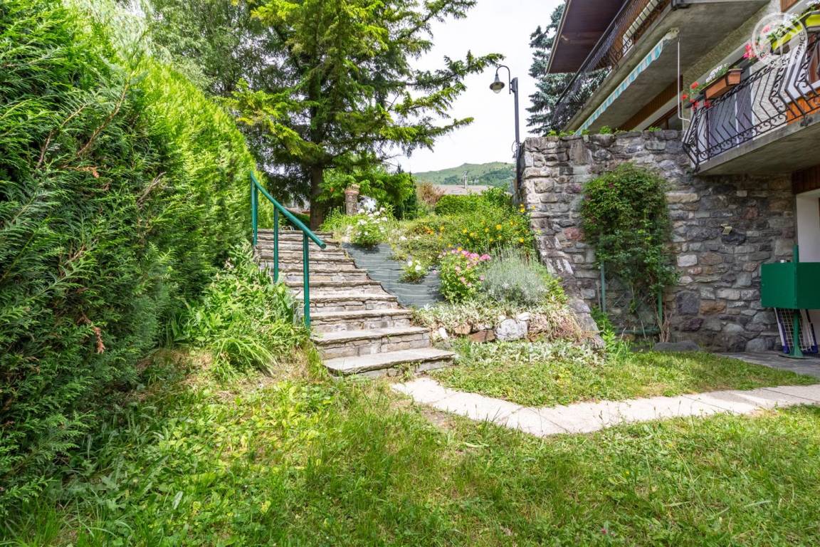 foto19