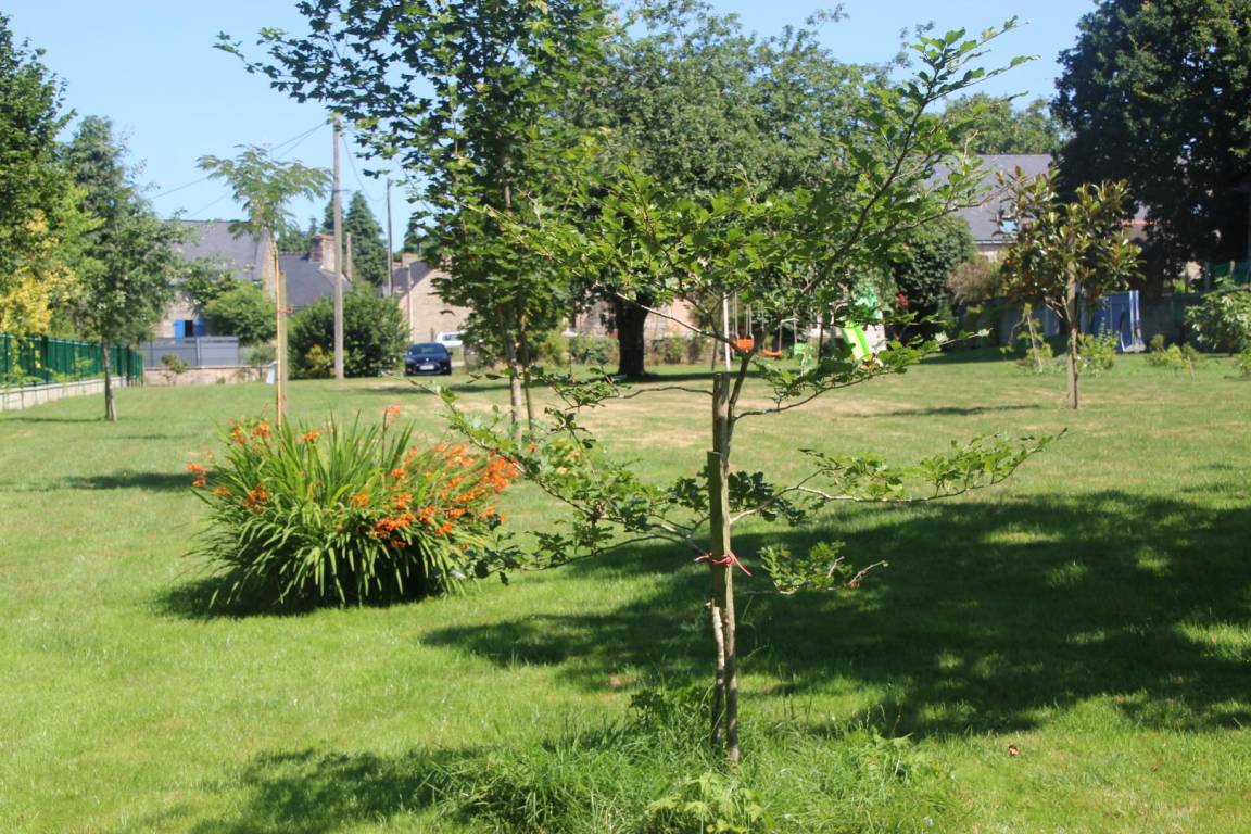 foto17