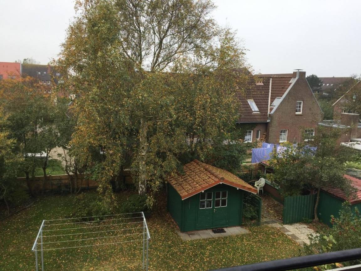 foto19
