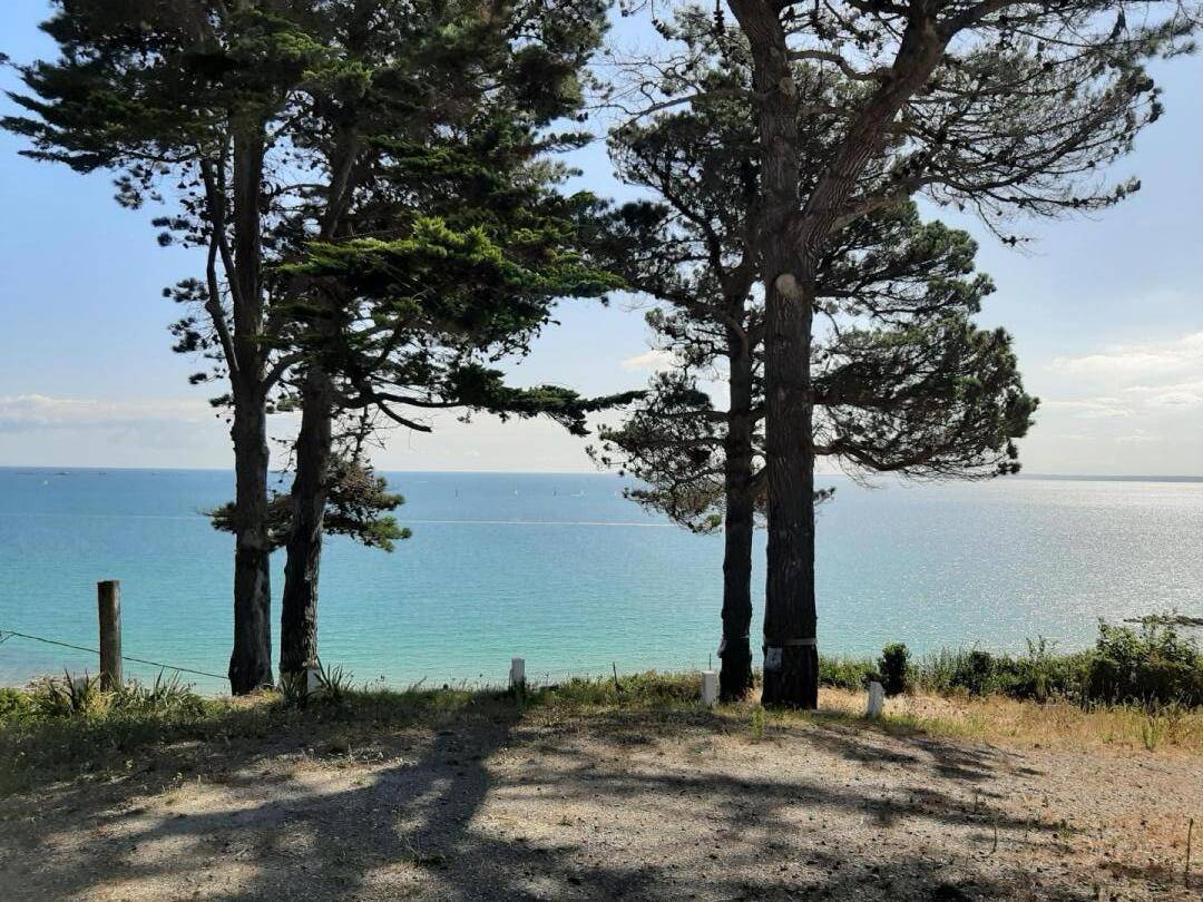 foto21