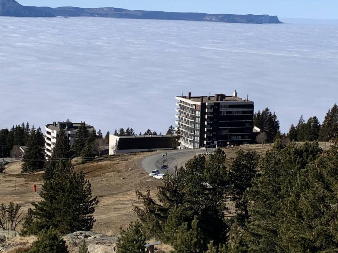 foto17