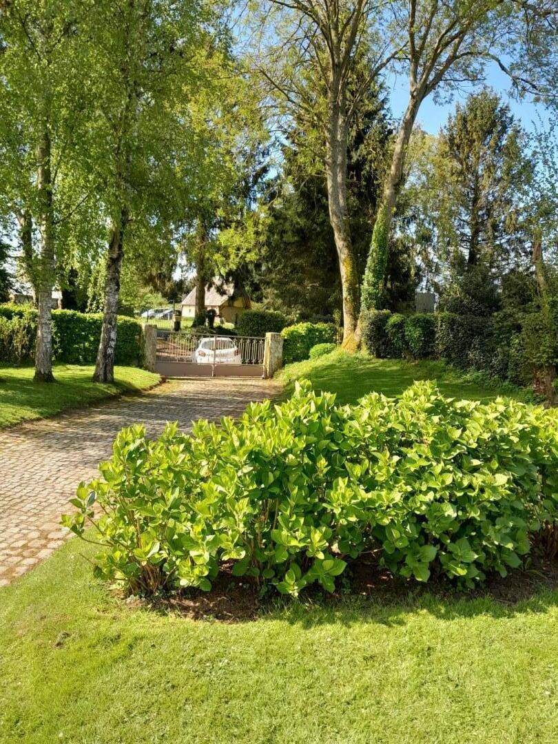 foto21