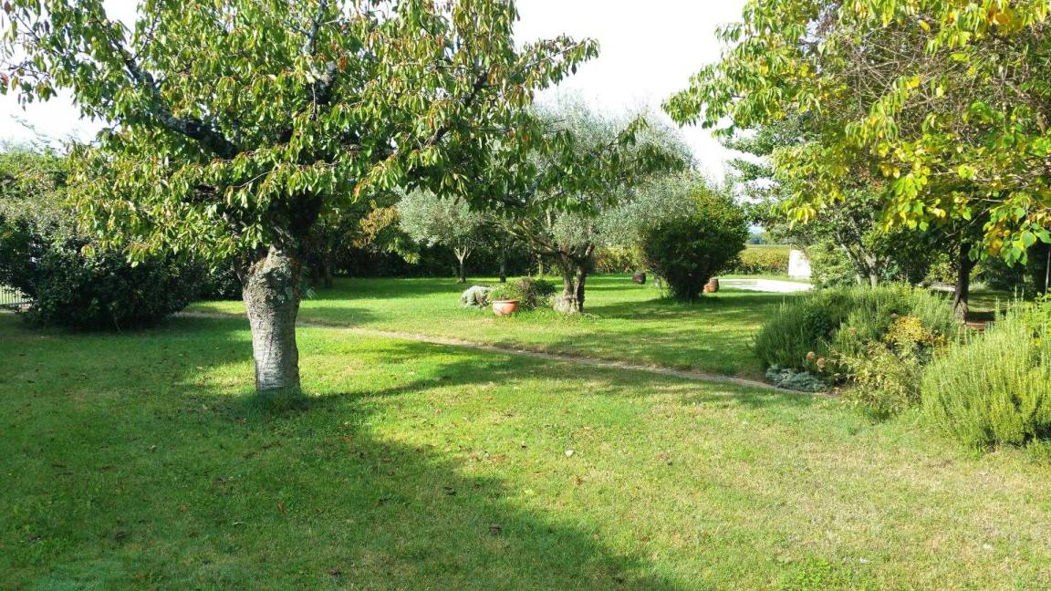 foto24