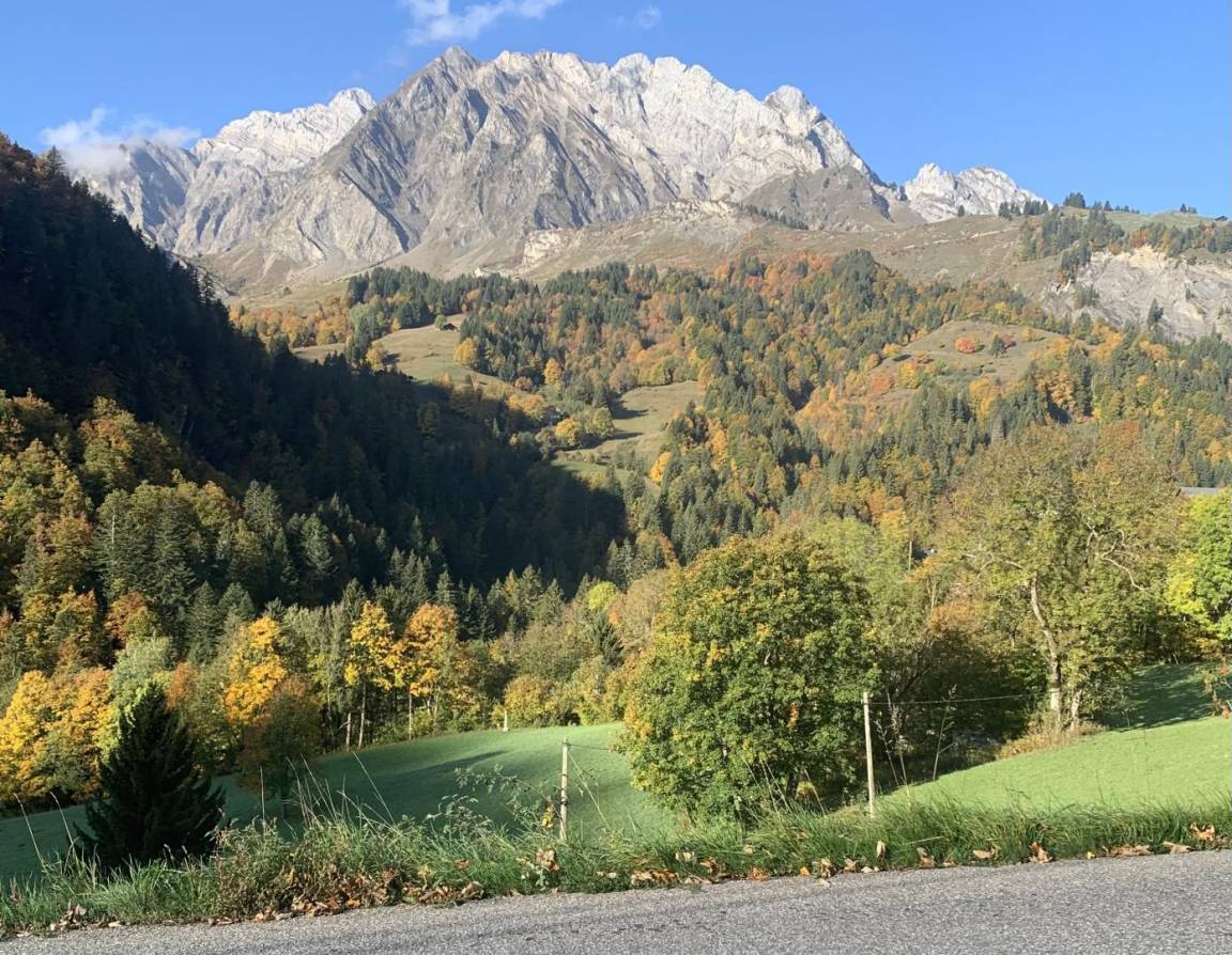 foto47