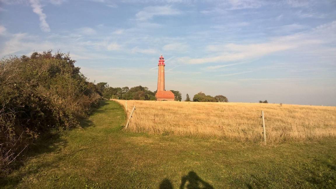 foto21