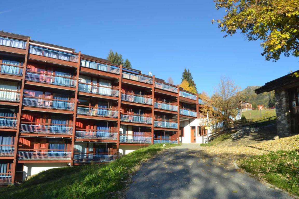 foto31